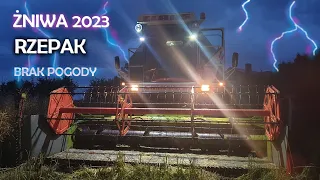 Żniwa 2023 akcja Rzepak