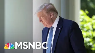 Trump: Testing May Be Overrated. Experts: Testing Is Critical. | The 11th Hour | MSNBC