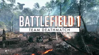 Battlefield 1 | Team deathmatch | Monte Grappa | RSC 1917 Optical gameplay | No commentary
