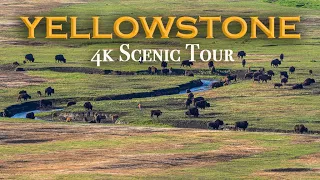 Yellowstone National Park Scenic Tour 4K/Nature Video/Great for Relaxation & Meditation