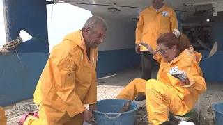 Peshqit e gjallë trembin Kristin gjatë seleksionimit. Ja sa fitojnë peshkatarët - Punë pa teka