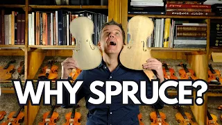 WHY we use SPRUCE for the TOP