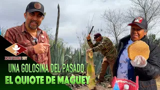 2/2 EL DULCE DE MI ABUELO, el quiote de maguey