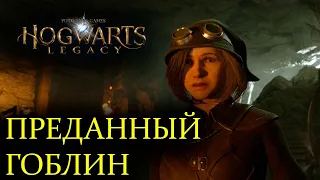 #36 ПРЕДАННОСТЬ ЛОДГОКА | Hogwarts Legacy | Прохождение | Без комментариев | PS5