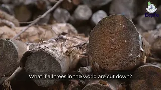 Ever Wondered What Will Happen If All The Trees Are Cut Down ? | Watch This If Not ! | ECPFO