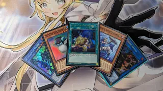 Fluffal Combo Tutorial July 2023 TCG Yugioh