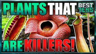 10 Most Deadly Plants in the World