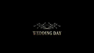 Wedding day. Golden Titles 01 / Весільний день Золоті титри / Свадебный день / Footage Alpha Channel