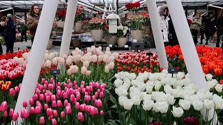 Now It's Springtime - Keukenhof 2024 - 4K