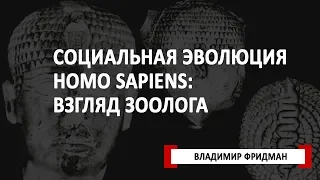 Социальная эволюция Homo sapiens: взгляд зоолога