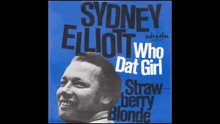 Sidney Elliott - Who Dat Girl In The Mini Skirt?