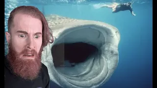 Man Gets SWALLOWED By Whale! *You Won't Believe How He Got Out!*