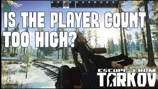 Is The Player Count Too High In Escape From Tarkov?