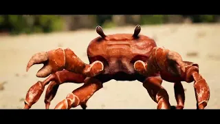 Crab Rave