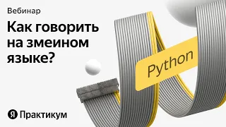 Как стать Python-разработчиком: сессия вопросов и ответов