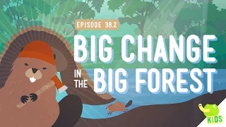 Big Changes in the Big Forest: Crash Course Kids #38.2