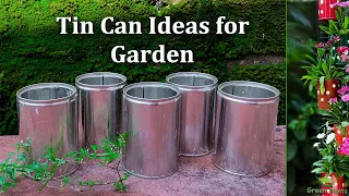 Awesome DIY Tin Cans Ideas for Garden//GREEN PLANTS