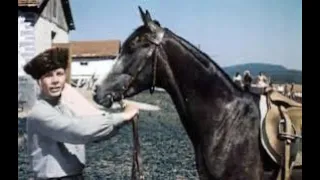 "Смелые люди" хф, приключения, Мосфильм, 1950г.