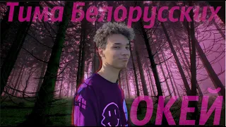 Тима Белорусских-окей (guitar cover by AkStar) + ВОКАЛ