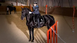 Семинар по Working Equitation в Los Establos.