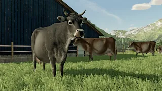 Farming Simulator 22 ПРОДАЕМ УРОЖАЙ ПОКУПАЕМ КОРОВ!