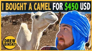 I Bought a Camel & Gave it to a Village (emotional)