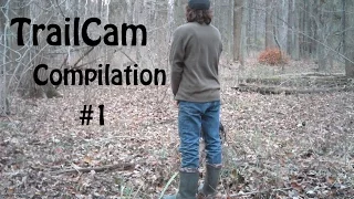 Trail Cam Compilation #1