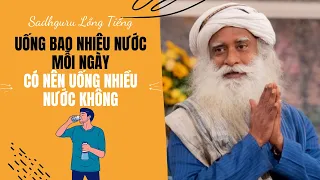 Uống Nhiều Nước Có Thật Sự Tốt Cho Cơ Thể Không | Sadhguru Lồng Tiếng #118