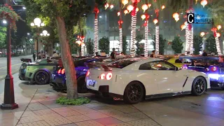 GTR Club Revs, Flyby and Exhaust Sounds