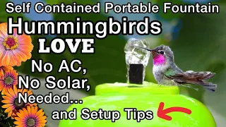 Hummingbird FOUNTAIN Bowl Attracts Hummingbirds NO Sun Solar AC Needed EASY PORTABLE Birdbath Garden