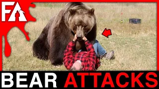 Deadliest Bear Attacks MARATHON!