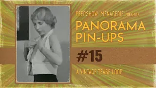 Panorama Pin-Ups # 15  - A Vintage Tease Loop