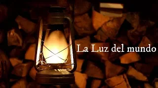 La luz del mundo  -  Reflexión