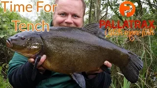 Tench Fishing - Spring Time Tinca (Video 140)