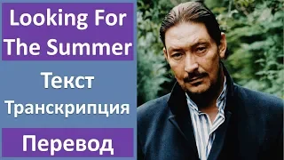 Chris Rea - Looking For The Summer (lyrics, transcription)