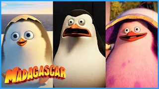 The Story of Private 🐧 | DreamWorks Madagascar