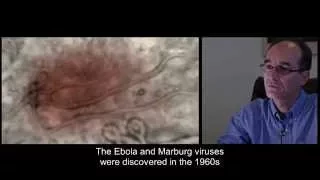 Ebola : The history of Ebola epidemics