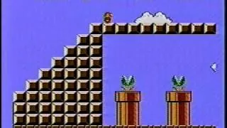 Super Mario Bros.: Speed Run