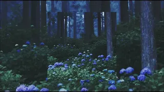 Into The Woods- Prologue(Sped up)
