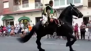 Великолепное шоу с испанскими лошадьми на празднике. Валенсия(Испания)