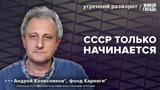 Выборы 2024. Война в Израиле. Колесников*: Утренний разворот / 24.10.23