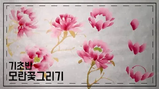 모란꽃기초그리기