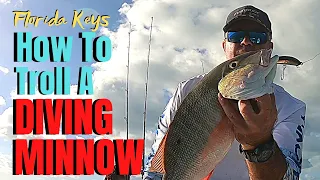 How to troll a DIVING MINNOW best fishing lures for trolling