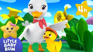 Little Duckies in the Park! ⭐ Four Hours of Nursery Rhymes by LittleBabyBum