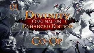 Let's Play Divinity: Original Sin - Enhanced Edition (Co-Op) - Ep.01 - Gameplay Introduction!