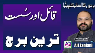 Here We Discuss  Laziest Zodiac Sign Of All | Are You Belong To This Zodiac | Ali Zanjani |