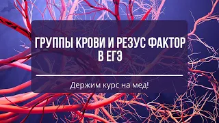 ГРУППА крови и РЕЗУС фактор | Биология ЕГЭ 2023. "Курс на мед"