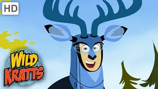 Wild Kratts |Deer Creature Power Suit | AMAZING