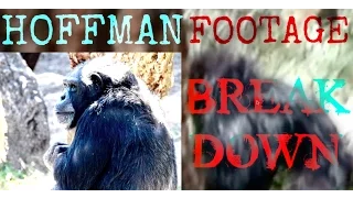 Hoffman Bigfoot Footage Breakdown