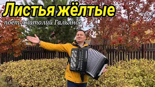 🍁 краски осени/ ЛИСТЬЯ ЖЕЛТЫЕ